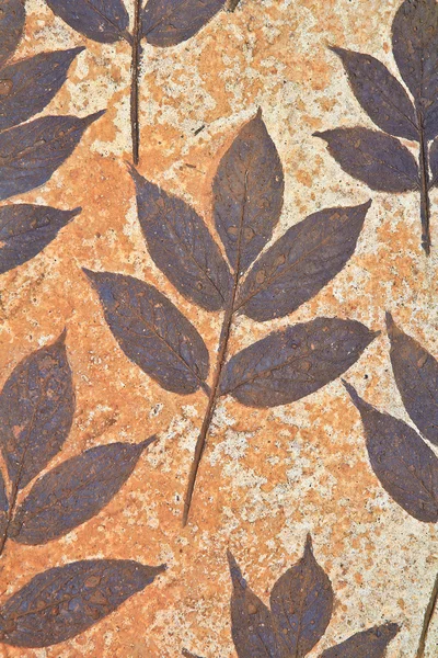 Dry autumn leaves on mortar — Stock Photo, Image