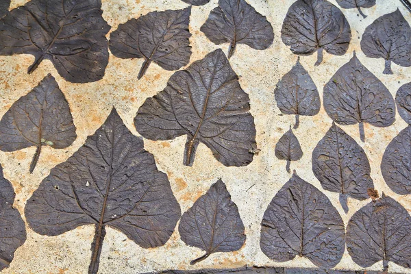 Dry autumn leaves on mortar — Stock Photo, Image