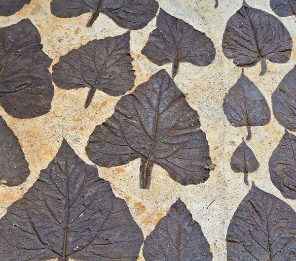 Dry autumn leaves on mortar — Stock Photo, Image