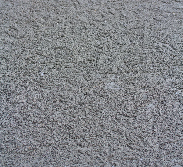 Kum topları yapmadan Yengeç — Stok fotoğraf