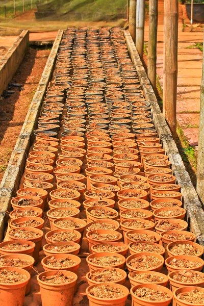 Ceramic pots with ground — Stock Photo, Image