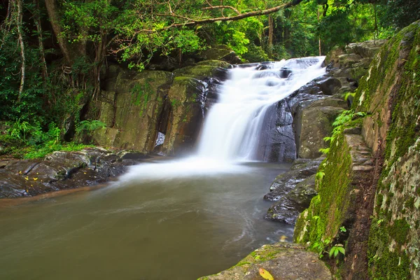 Wasserfall im Wald-Nationalpark — Stockfoto