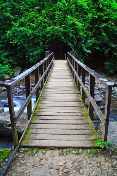 フォレスト内の滝橋します。 — ストック写真