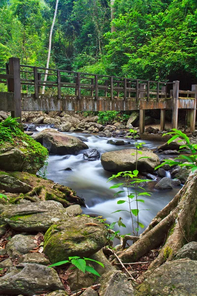 Waterfall in Forest National park — Stock Photo, Image