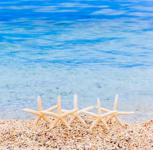 Starfish on tropical sea beach — Stock Photo, Image