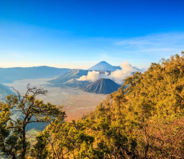 Bromo tengger semeru Milli Parkı