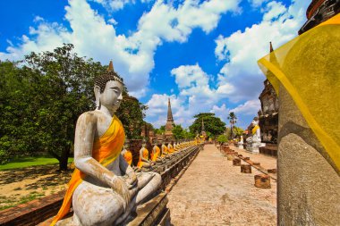 ayutthaya Antik Tapınağı