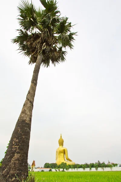 Grote Boeddhabeeld op Wat muang — Stockfoto