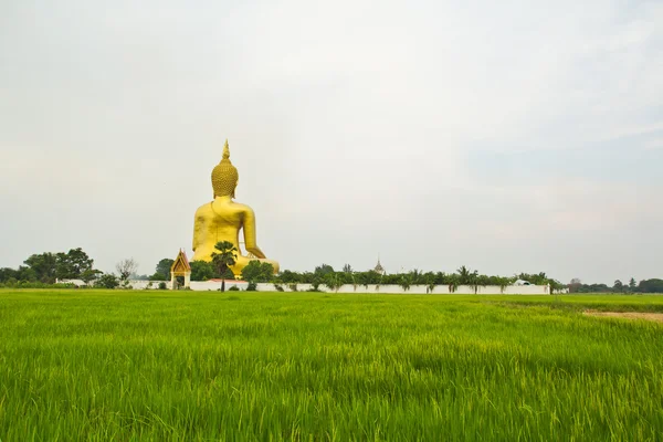 Grande estátua de buddha em Wat muang — Fotografia de Stock