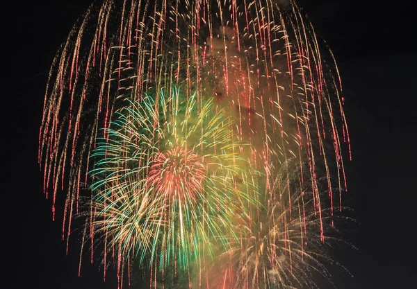 Színes szép tűzijáték — Stock Fotó