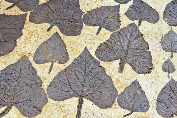 Dry autumn leaves on mortar — Stock Photo, Image