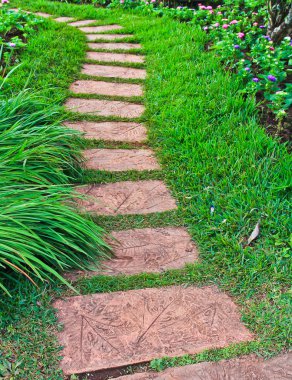 güzel Parkta yürümek
