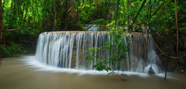 Ormanda güzel bir şelale