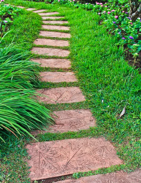 Promenade dans un beau parc — Photo