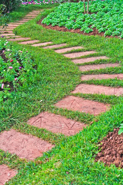 Passeio no belo parque — Fotografia de Stock