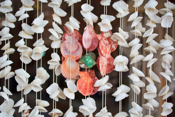 Sea shells product on ropes — Stock Photo, Image