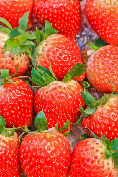 Red ripe strawberries — Stock Photo, Image