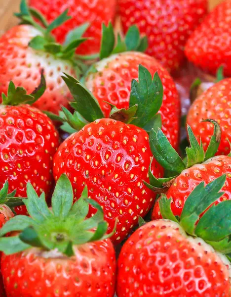 Rote reife Erdbeeren — Stockfoto