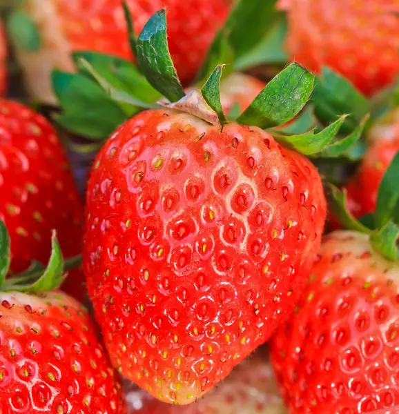 Red ripe strawberries — Stock Photo, Image