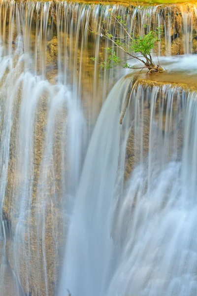 Air terjun dan aliran biru di hutan — Stok Foto