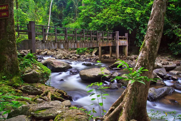 Waterfall in the National park of Thailand — Stock Photo, Image