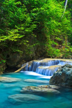Ulusal parkta şelale