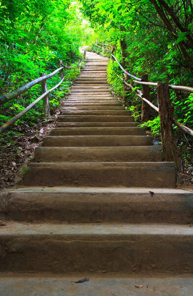 Stairway in green forest