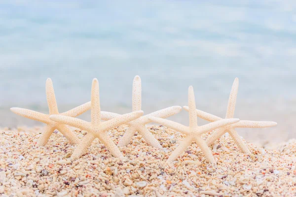 Five starfishes on the beach — Stock Photo, Image