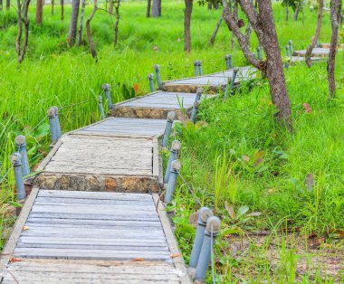 Bahçe yürüme yolu