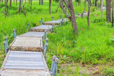 Bahçe yürüme yolu