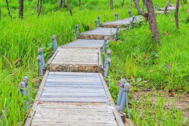Bahçe yürüme yolu