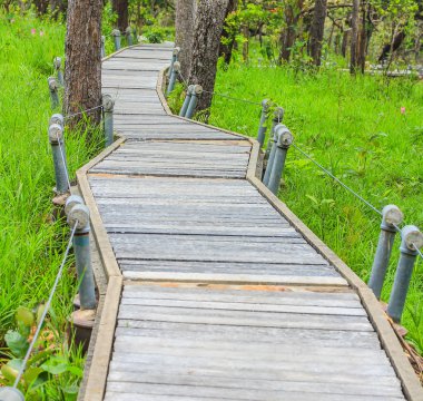 Bahçe yürüme yolu