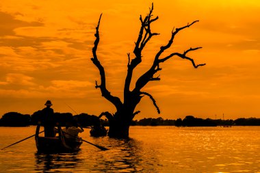 Ölü ağaç ve bir tekne