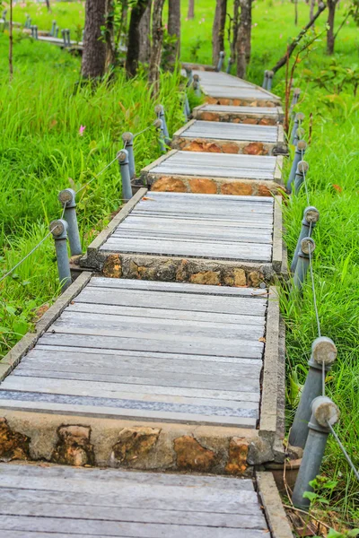 Garden Walkway — Stock Photo, Image