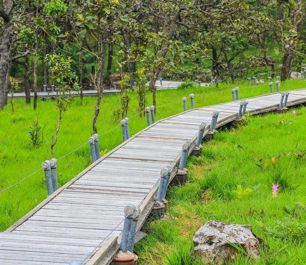 Garden Walkway — Stock Photo, Image