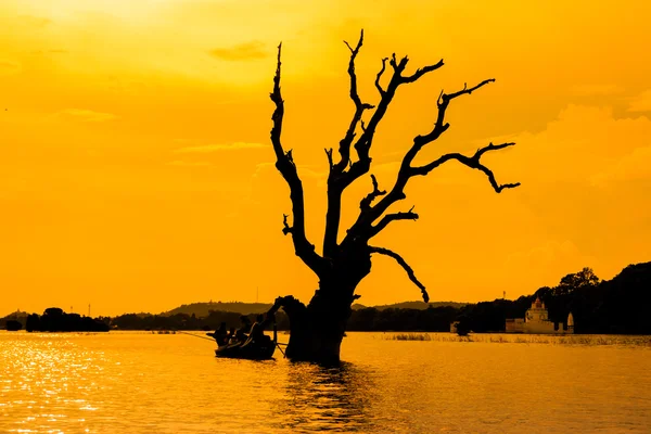 Dead tree and a boat — Stock Photo, Image