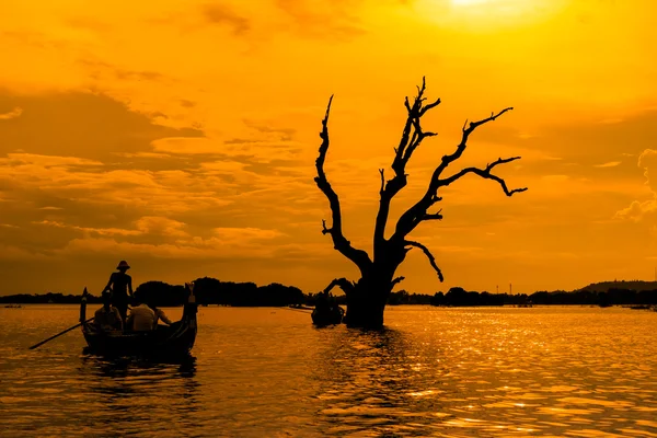 Dead tree and a boat — Stock Photo, Image