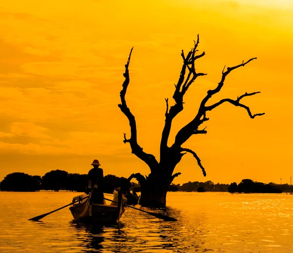 Albero morto e una barca — Foto Stock