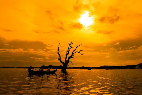 Toter Baum und ein Boot — Stockfoto