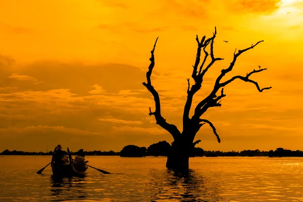 Dead tree and a boat — Stock Photo, Image