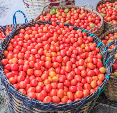birçok domates