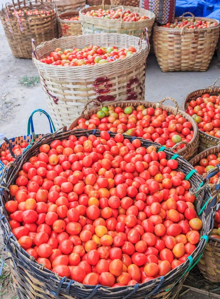 Lots of tomatoes — Stock Photo, Image
