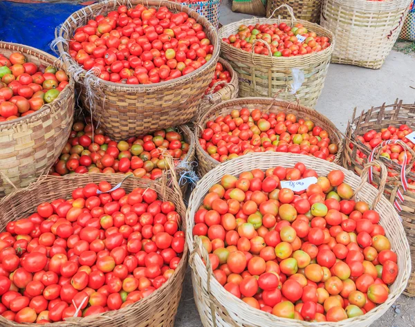 Lots of tomatoes — Stock Photo, Image