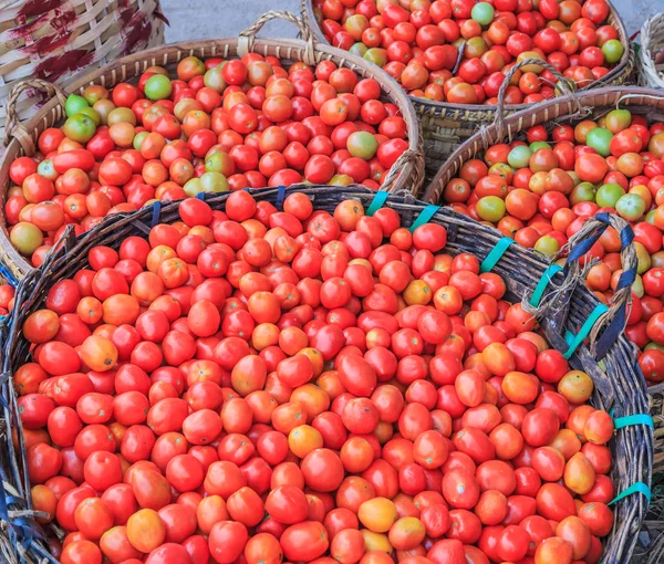 Lots of tomatoes — Stock Photo, Image