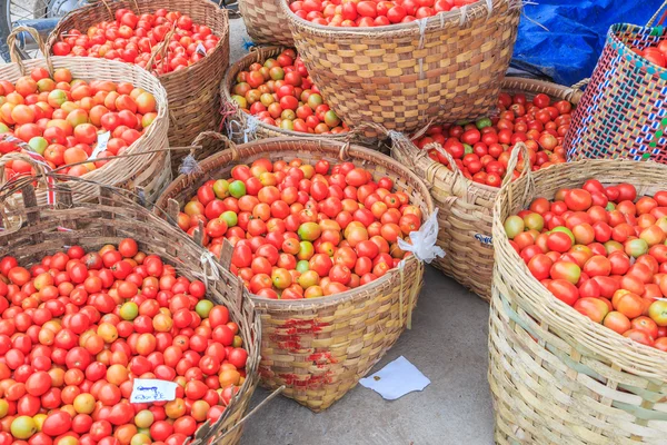 Lots of tomatoes — Stock Photo, Image