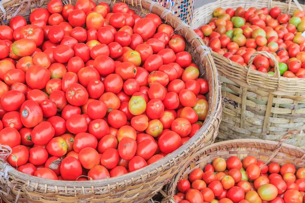 Un sacco di pomodori — Foto Stock