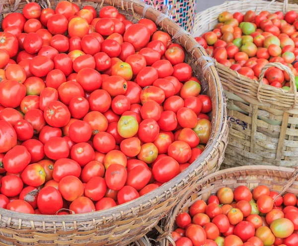 Lots of tomatoes — Stock Photo, Image