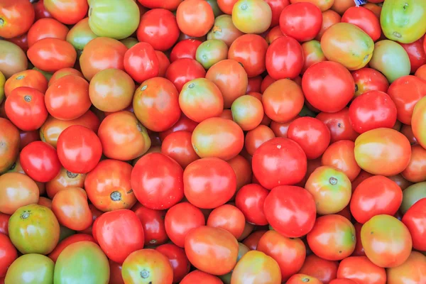 Lots of tomatoes — Stock Photo, Image