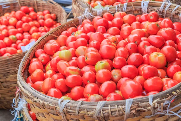 Muchos tomates. —  Fotos de Stock