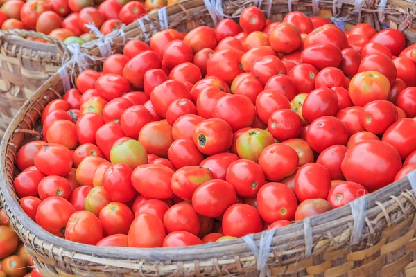 Lots of tomatoes — Stock Photo, Image